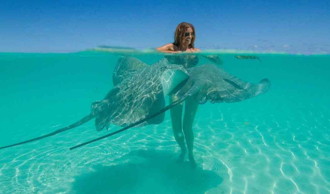 nagez avec les raies à Bora Bora durant votre voyage en Polynésie