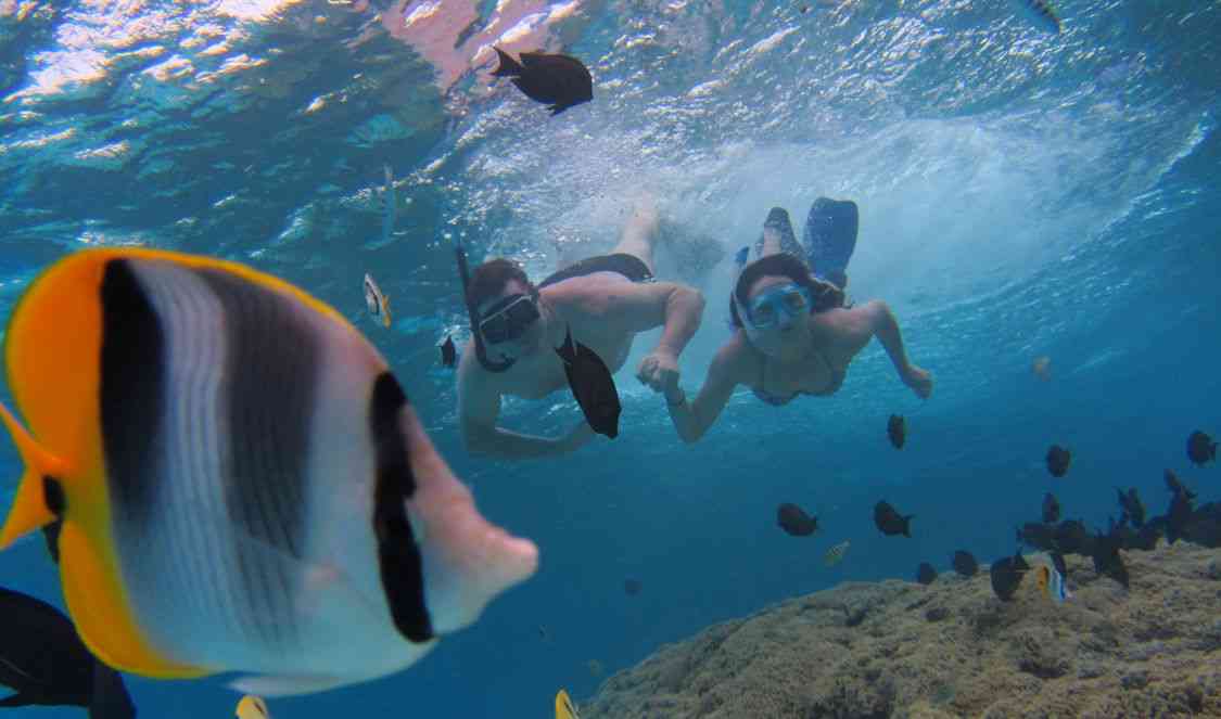 couple à la découverte du lagon de Bora Bora, photos sous marine avec poissons tropicaux