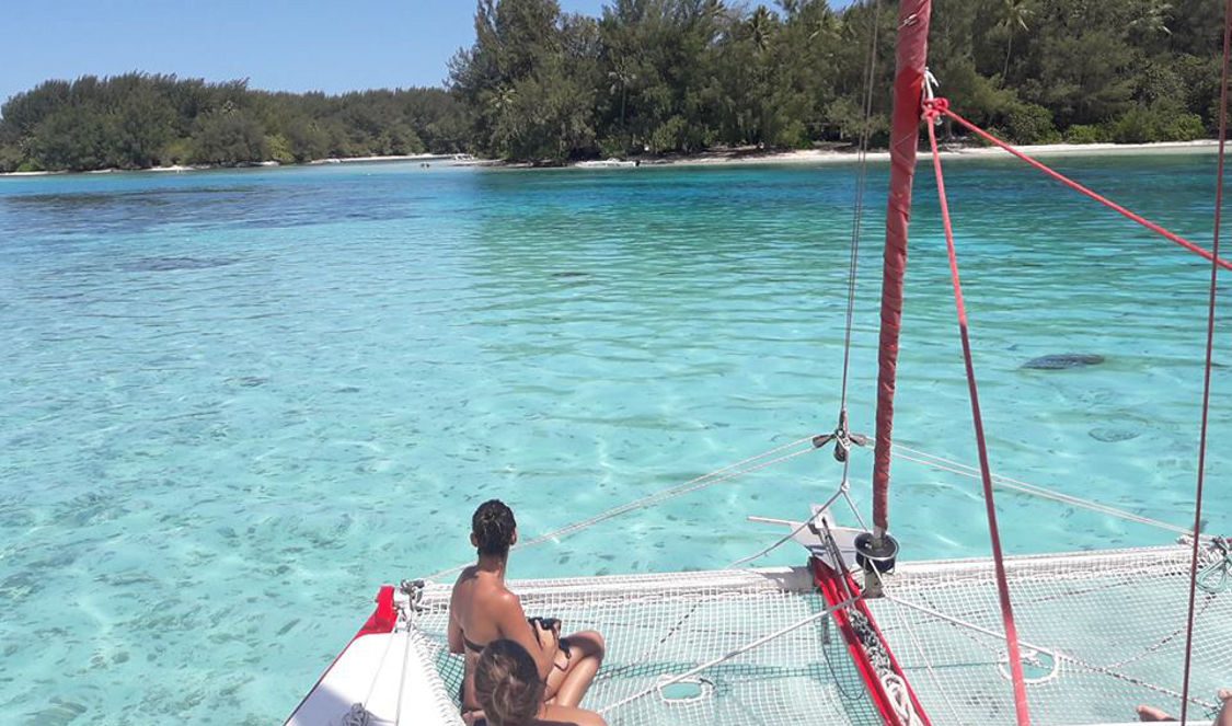 discover moorea lagoon cruise voila during a holiday