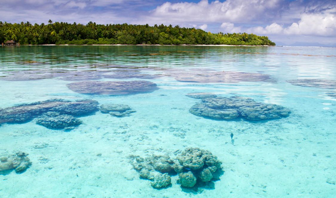 lagon de l'ile de tetiaroa, l'atoll de marlon brando, en Polynésie