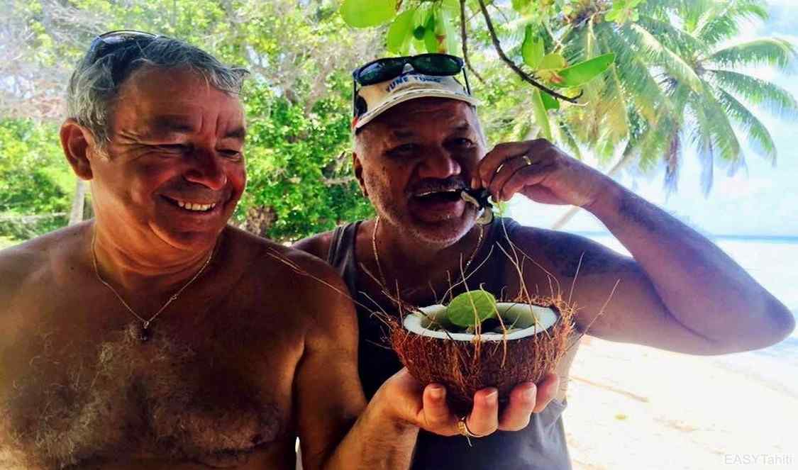 dégustez des paua dans un coco à Rangiroa durant votre séjour en Polynésie