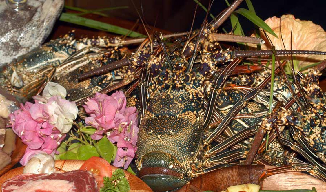 lobster buffet at bloody marys famous restaurant in bora bora for your vacation