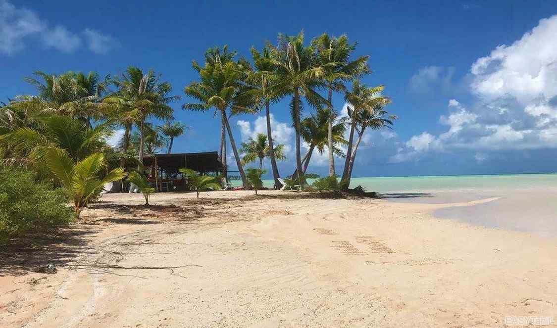 plageavec fare pote pour le déjeuner au lagon bleu à Rangiro à essayer durant votre séjour en Polynésie