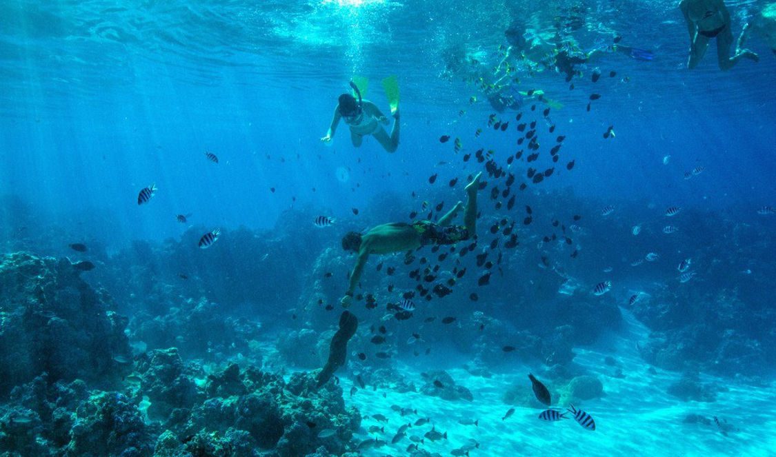 snorkeling tour bora bora during your vacation in french polynesia