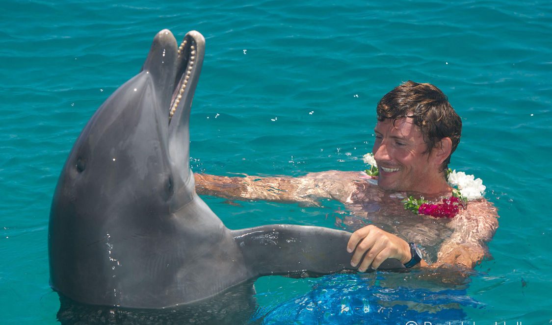 take pictures interact with a dolphin at dolphin center during a moorea vacation